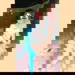นริศรา เจนชัย profile icon