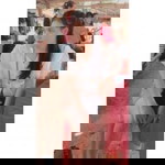 Plub Nattha profile icon