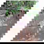 Fang Parida profile icon