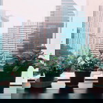 Cher profile icon