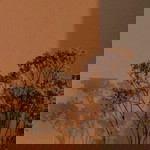 haifaaa profile icon