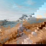 Bảo Yến Phùng profile icon