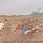 กิ้ฟ 'ฟฟฟ profile icon