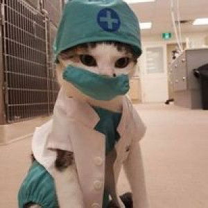 Ressy Bia profile icon