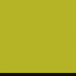 ega vega profile icon