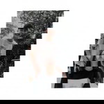 Sarawut Krootpum profile icon