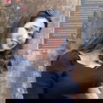 เปมิกา แย้มสัตย์ธรรม profile icon