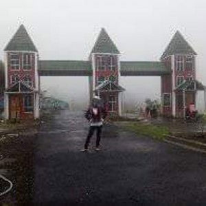 Ama Lala profile icon