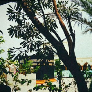 uci yuliana profile icon