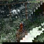 Lanna Tathong profile icon