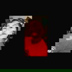 Cunonq Bolloho Evve profile icon