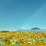 BEEbee AMORNRUT profile icon