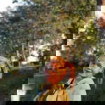 สุทธิษา า. profile icon