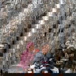 Arfiani Puhtreethomia profile icon