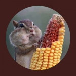 PIYANUT SUPATTRAKUL profile icon