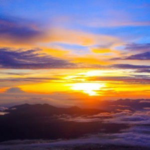 Rury Gobel profile icon