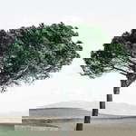 Nuratiyah Faridah profile icon