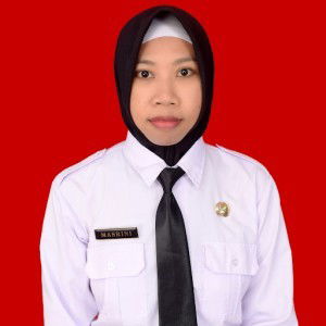 masrini zidan profile icon