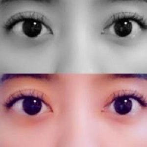 Daratullaila Kotodahnuar profile icon