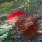 ไม่รัก ก้อ อย่ามาหลอก profile icon