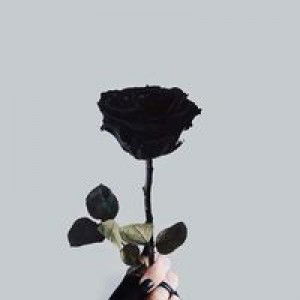 S Fitriyanii profile icon