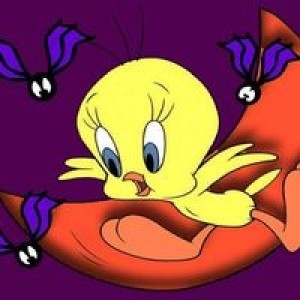 Meli Karpet Karakter profile icon