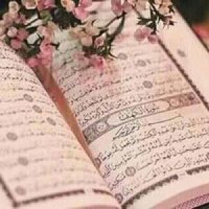 Mardiatiyah profile icon