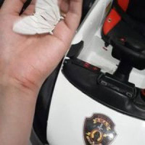 May Luna profile icon