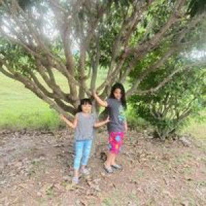 Pangthaisong Khanitta profile icon