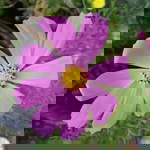 Tika Runifah profile icon