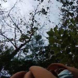 Cie Deyha profile icon