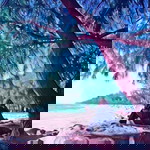 Noor Hidayah profile icon