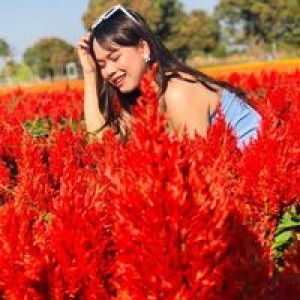 Kanitta Khapinit profile icon