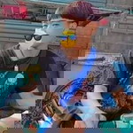 บี๋' แตก profile icon