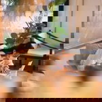 Nichakorn Somnok profile icon