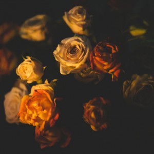 Tri Ayu Wulandari profile icon