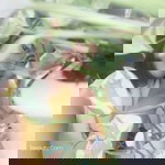 Inter Mue Sty profile icon