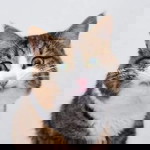 Hasmimi Baharuddin profile icon