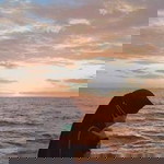 Faidha Lathiefah profile icon