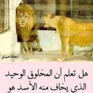 Ahmadd Zar profile icon