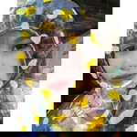 Ananya Phorom profile icon