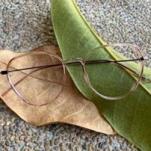 Cindy brain pionela profile icon