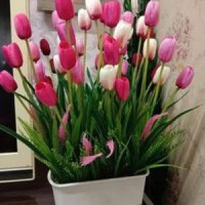 Siti Alias profile icon