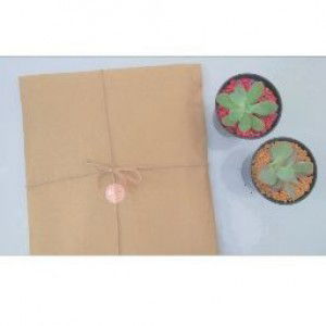 ibun hanin✿ profile icon