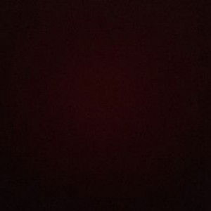 stevy delos reyes profile icon