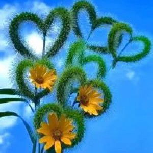 ชีวิตเริ่มด้วยเวลา โอกาส โชคชะตา profile icon