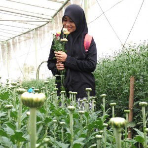 Qonitaarif profile icon