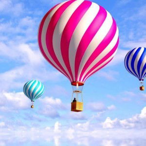 Maria Petronella profile icon