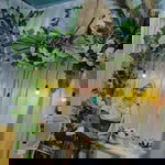 Herga Fanora profile icon