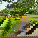 تري واهيوني سوجي profile icon